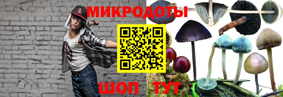 Галлюциногенные грибы мухоморы Киселёвск